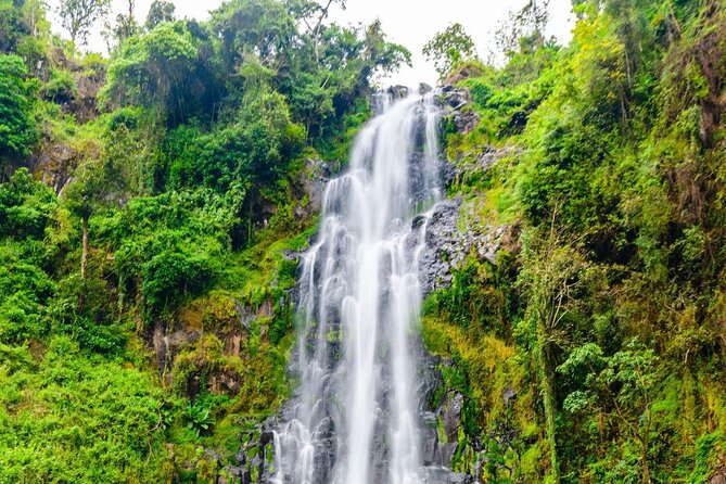 Private Full-Day Trip to Materuni Waterfalls - Why Materuni Waterfall is worth the day