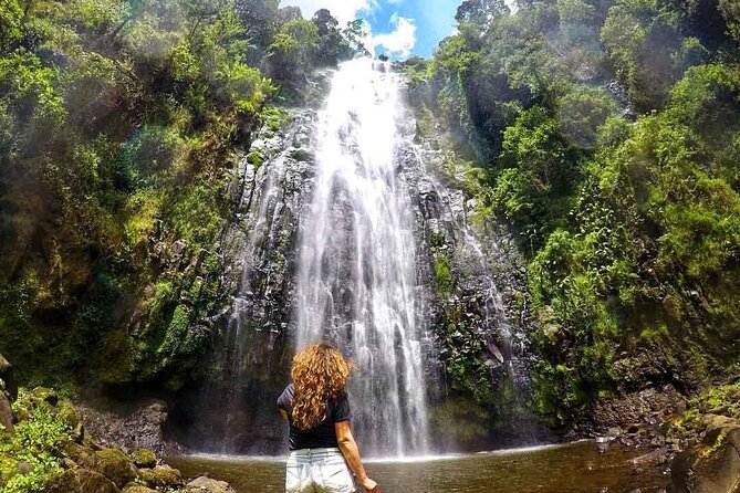 Private Full-Day Trip to Materuni Waterfalls - Reaching the 80-meter cascade