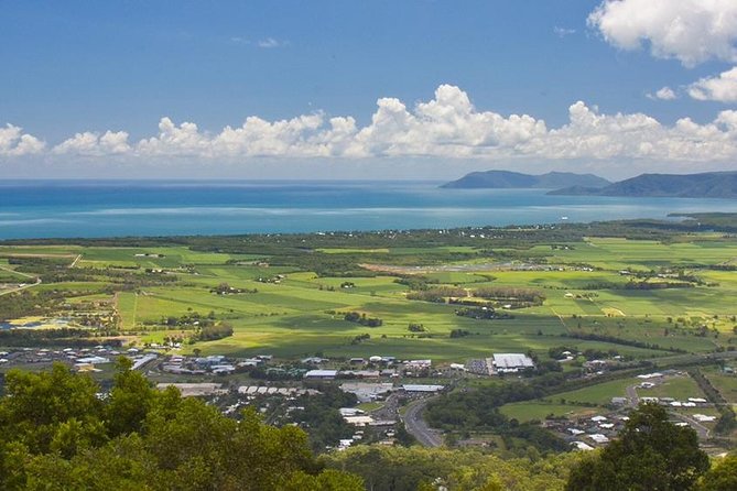 Private Half Day Tour: World Heritage Rainforest & Waterfall - A short look at Kuranda Village