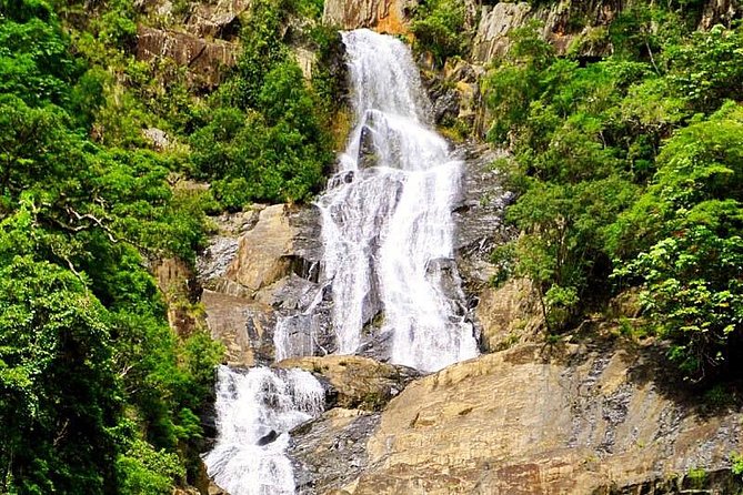 Private Half Day Tour: World Heritage Rainforest & Waterfall - Guides who add real value