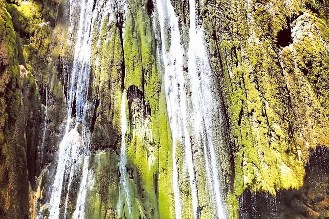 Private Hiking to Salto el Limon with a Local expert Guide from Samana - The walk to El Limón waterfall