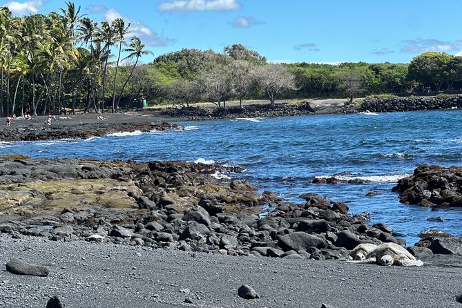 Private Hilo Shore Excursion to Volcano Waterfall and Black Sand - What the $1,359.20 group price really means