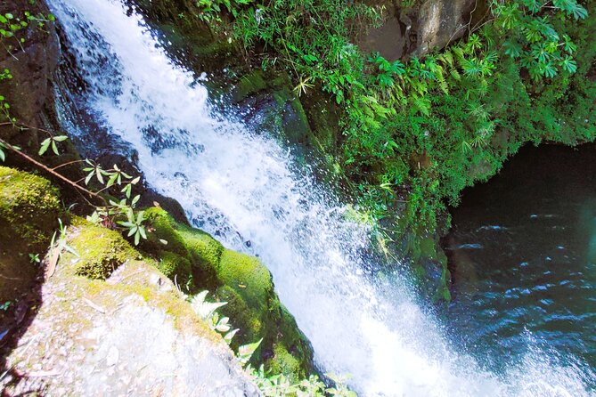 Private Jungle Waterfall Adventure, Wit Da Native Hawaiian Dundee - Kalalea’s mountain country and old Hawaiian sites