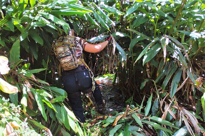 Private Jungle Waterfall Adventure, Wit Da Native Hawaiian Dundee - What to wear and carry