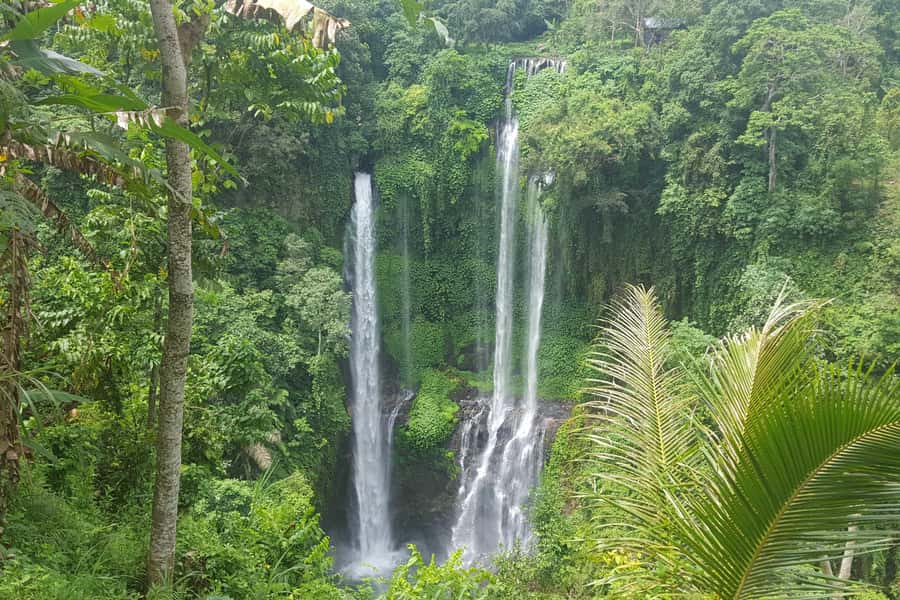 Private Sekumpul Waterfall Hiking Tour - Why Sekumpul is worth the long ride