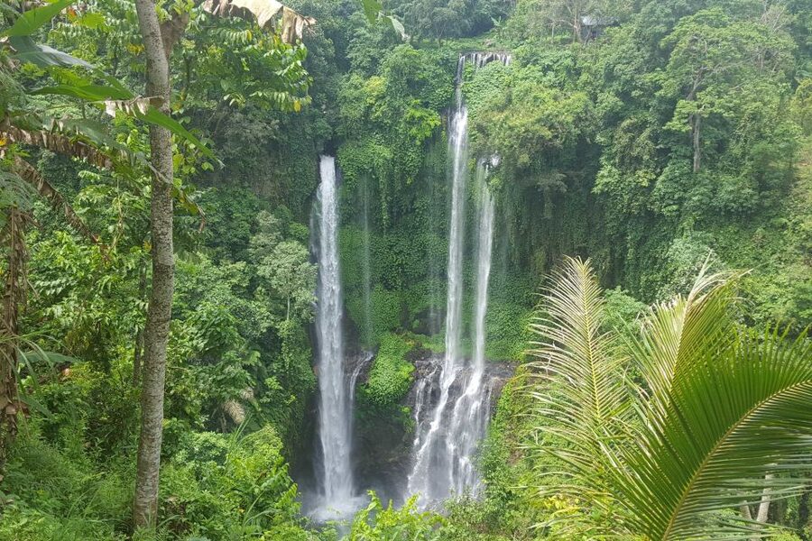 Private Sekumpul Waterfall Hiking Tour - Coffee plantation and the odd story of kopi luwak