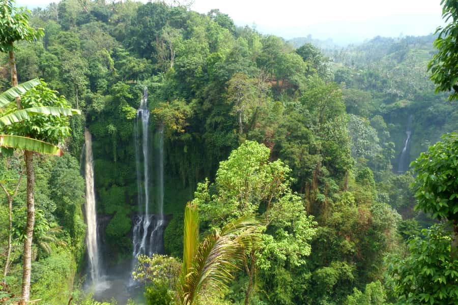 Private Sekumpul Waterfall Hiking Tour - How much value do you get for $58?