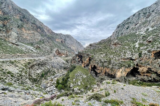 Private South Crete Full-Day Tour-Spili, Kourtaliotiko & Preveli - Preveli Palm Forest and the river mouth