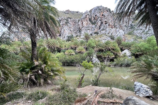 Private South Crete Full-Day Tour-Spili, Kourtaliotiko & Preveli - Kourtaliotiko Gorge and the short walk to the falls