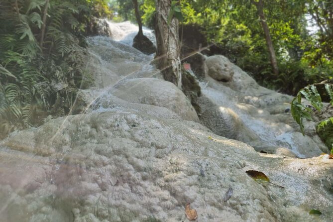 Private Tour: Bua Thong Sticky Waterfalls Tour - Cancellation and booking details