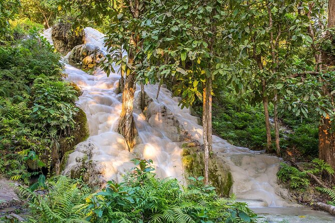 Private Tour: Bua Thong Sticky Waterfalls Tour - Leaving Chiang Mai at 9:00 a.m.