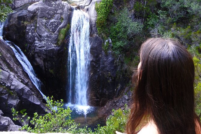 Private Tour of the Natural Waterfalls and Lagoons of Gerês - Lunch under the oaks at Prado da Teixeira
