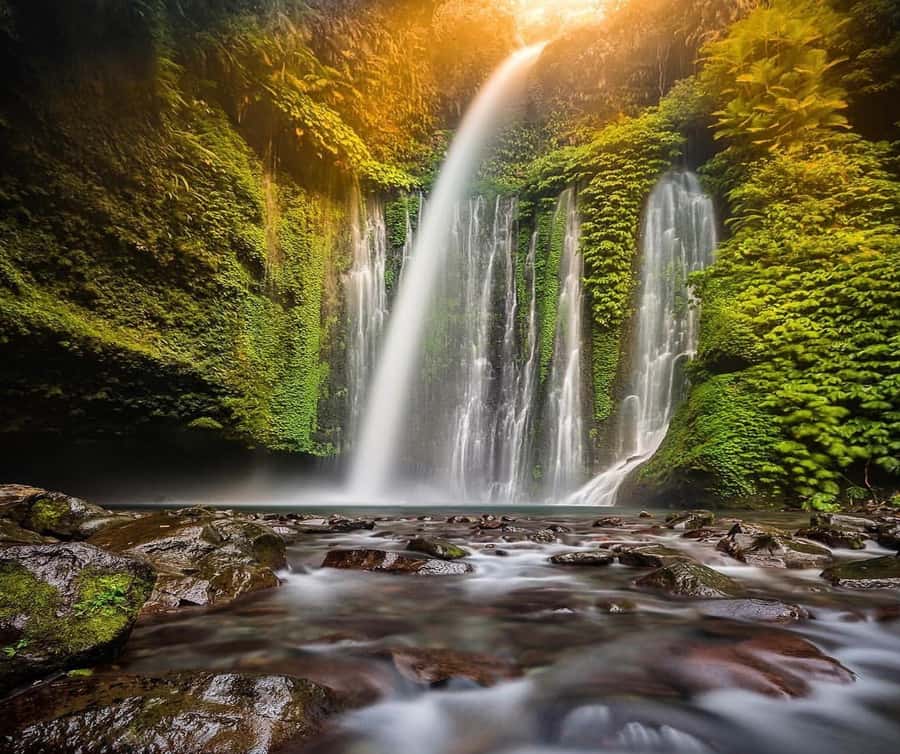 "Private Tour: Sendang Gile, Tiu Kelep Waterfall & Sembalun" - Quick take: what makes this Lombok day trip worthwhile