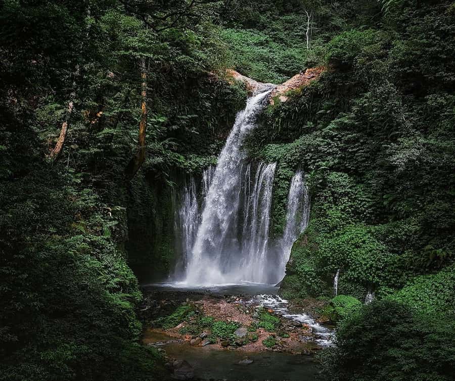 "Private Tour: Sendang Gile, Tiu Kelep Waterfall & Sembalun" - Sendang Gile and Tiu Kelep: two different rewards