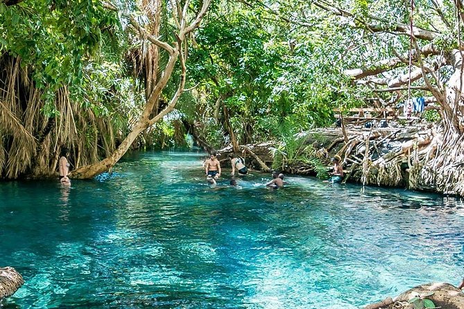Private Tour to Materuni waterfalls, coffee tour & Kikuletwa hot- springs - The walk to Materuni Waterfalls