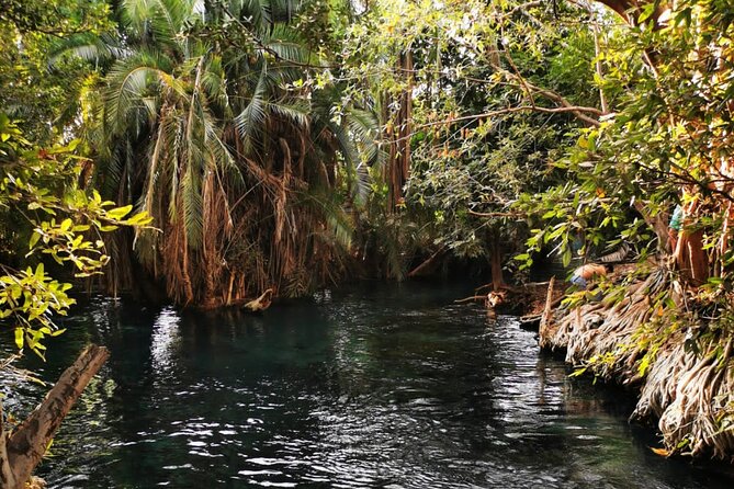 Private Tour to Materuni waterfalls, coffee tour & Kikuletwa hot- springs - The bumpy road to Kikuletwa Hot Springs