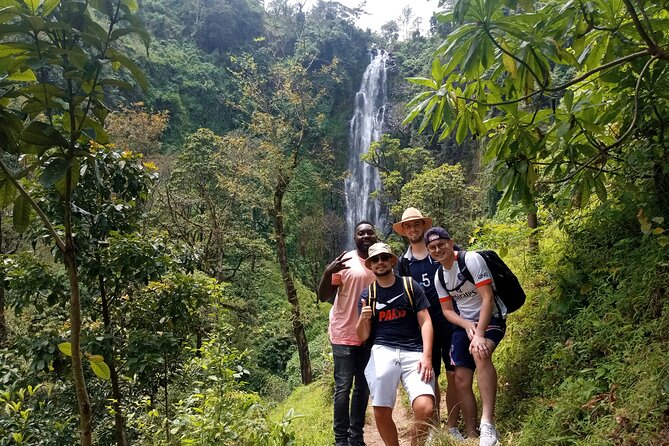 Private Tour to Materuni waterfalls, coffee tour & Kikuletwa hot- springs - A Chagga lunch with banana beer