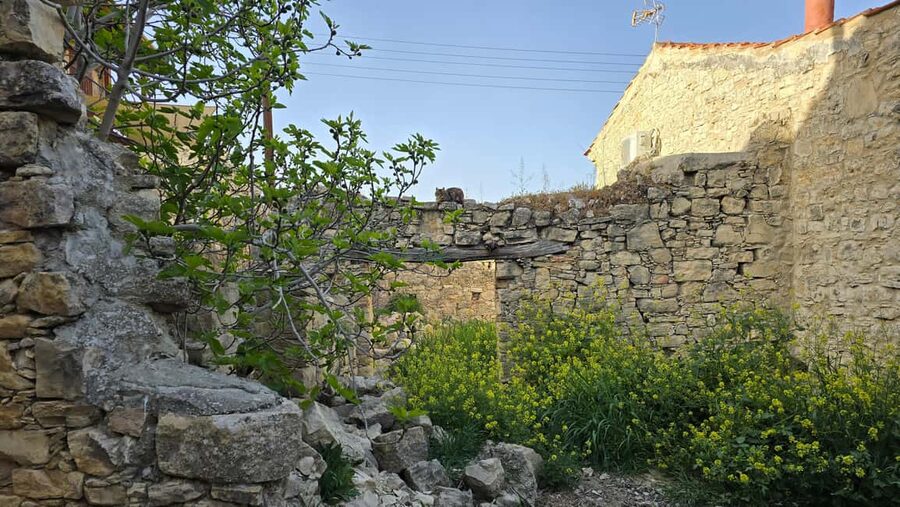 PRIVATE TOUR | Troodos Mountain: Waterfall, Villages & Lunch - Timios Stavros and the route home