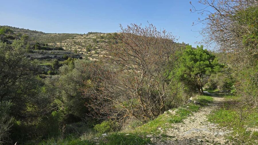 PRIVATE TOUR | Troodos Mountain: Waterfall, Villages & Lunch - Who should book this private mountain day?