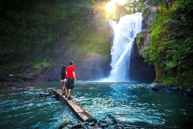 Private Tour: Waterfall, Kintamani Volcano, Ubud Tour with Lunch - One long day from Tegenungan to Ubud