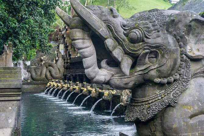 Private Tour: Waterfall, Kintamani Volcano, Ubud Tour with Lunch - Tegalalang shows Bali’s working farmland