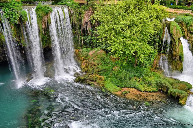 Private Unique Waterfalls Tour - What the published feedback tells me about service