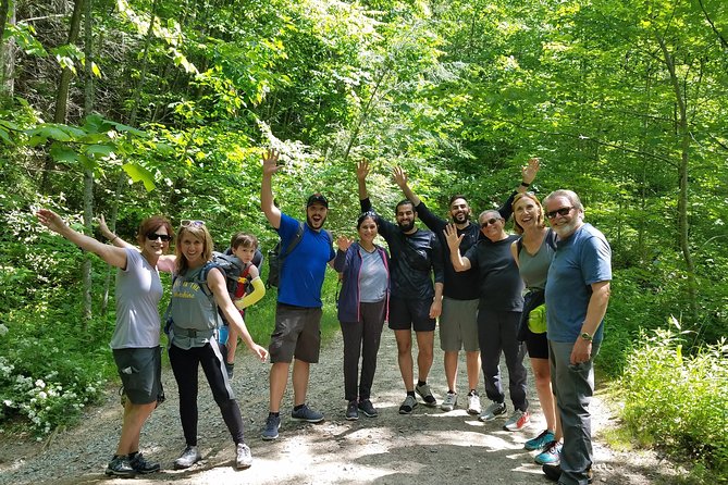 Private Waterfall and Blue Ridge Parkway Tour with a Naturalist - Looking Glass Falls and the famous stops