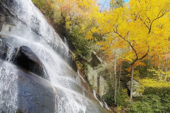 Private Waterfall and Blue Ridge Parkway Tour with a Naturalist - Choosing between the 1 to 3 mile and 3 to 7 mile hikes