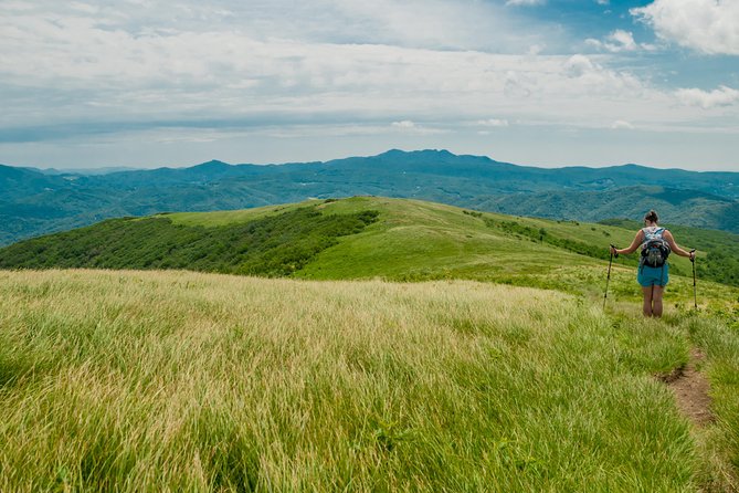 Private Waterfall and Blue Ridge Parkway Tour with a Naturalist - What the private vehicle and included gear mean