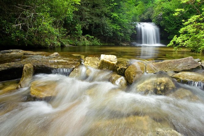 Private Waterfall and Blue Ridge Parkway Tour with a Naturalist - Leaving Asheville for the Blue Ridge Parkway
