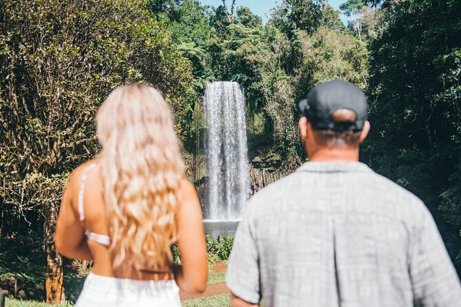 Private Waterfall and Rainforest Day Tour - Babinda Boulders, stories, and morning tea