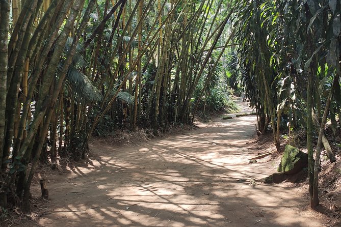 Private Waterfalls and Still Jeep 4x4 6hrs by Jango Paraty - Pedra Branca brings the first swim