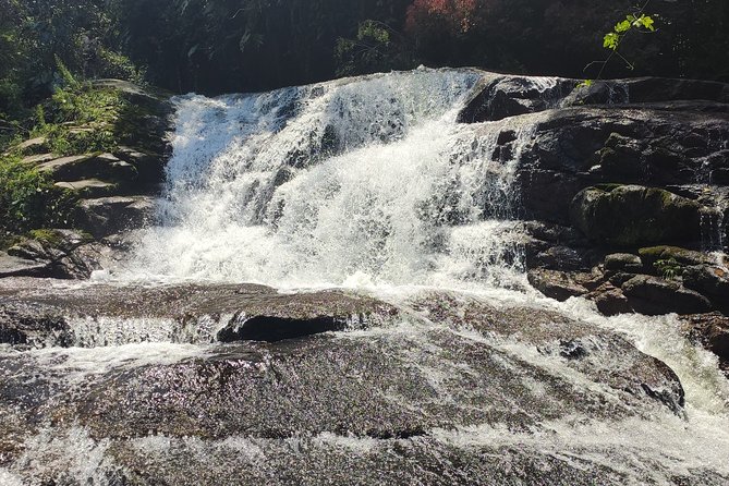 Private Waterfalls and Still Jeep 4x4 6hrs by Jango Paraty - The cachaça stop explains Paraty in a glass