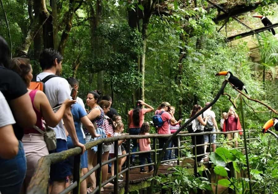 Puerto Iguazu: Iguaza Falls Brazilian Side & Bird Park Tour - Why the Brazilian side is worth your day
