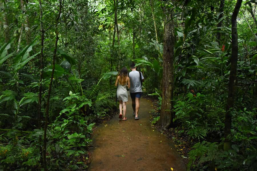 Puerto Iguazu: Iguaza Falls Brazilian Side & Bird Park Tour - Border and timing advice that matters