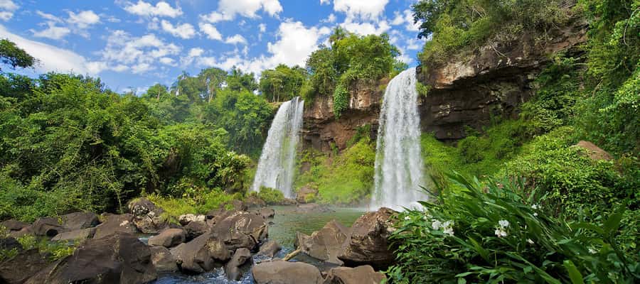 Puerto Iguazu: Iguazu Falls Argentinian Side Full-Day Tour - How Much Walking Should You Expect?