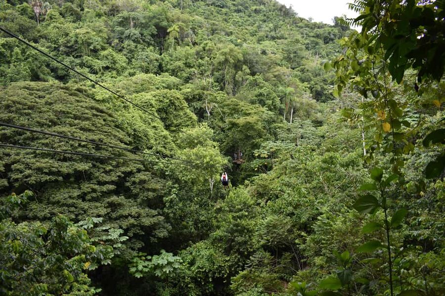 Puerto Plata/Amber Cove: Zipline and Waterfalls with Lunch - What the $104 price gets you