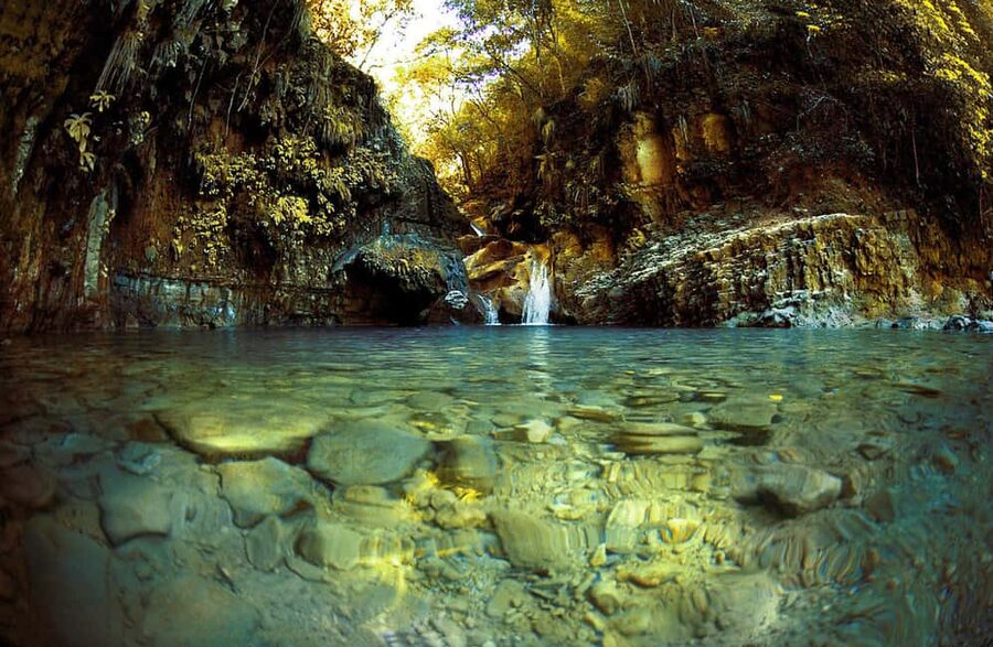 Puerto Plata: Damajagua Waterfalls Full-Day Adventure - The 30-minute walk through tropical forest
