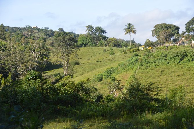 Puerto Rico Waterfall Hiking Tour: Discover Hidden Gems 2.0 - Leaving San Juan in a small van
