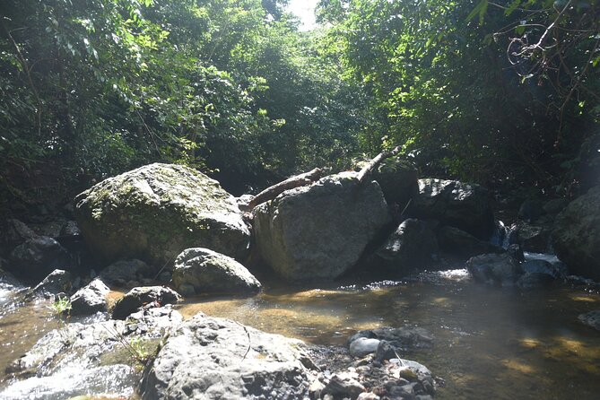 Puerto Rico Waterfall Hiking Tour: Discover Hidden Gems 2.0 - Guides make the rough trail more manageable