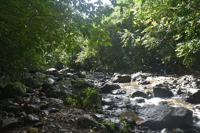 Puerto Rico Waterfall Hiking Tour: Discover Hidden Gems 2.0 - A local meal after the swim