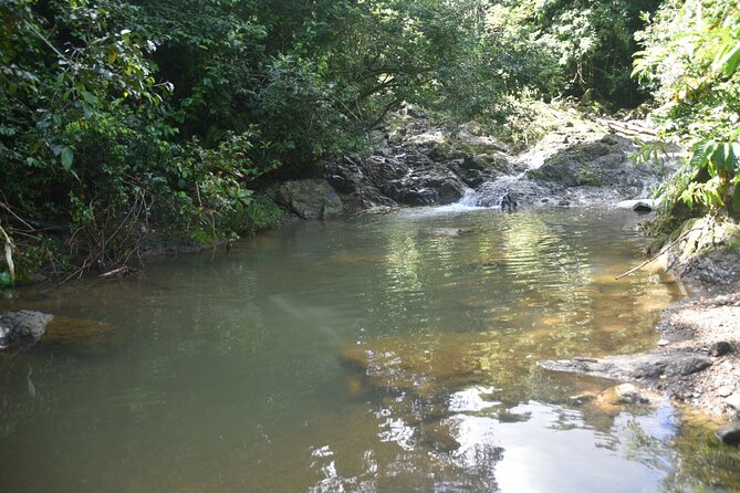 Puerto Rico Waterfall Hiking Tour: Discover Hidden Gems 2.0 - Is $80 a fair price?