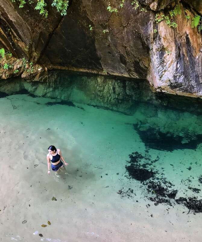 Puerto Vallarta: 4-Hour Jungle Hike and Waterfall Swim - A four-hour escape from Puerto Vallarta