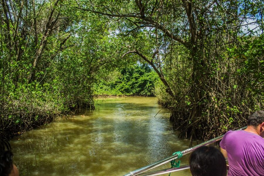 Punta Cana: 3-in-1 Adventure Haitises Park Waterfall Montaña - Group size, comfort, and physical effort