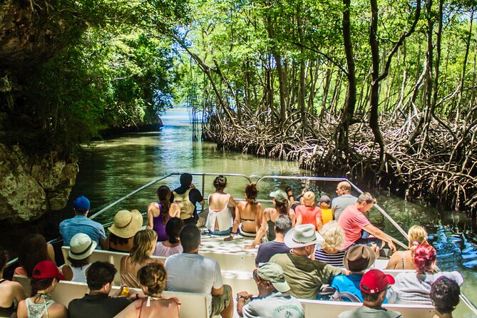 Punta Cana 3in1 Adventure: Los Haitises Park, Waterfall & Montaña - Why this Punta Cana day trip covers so much