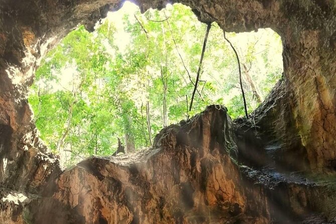 Punta Cana 3in1 Adventure: Los Haitises Park, Waterfall & Montaña - Los Haitises by boat and on foot