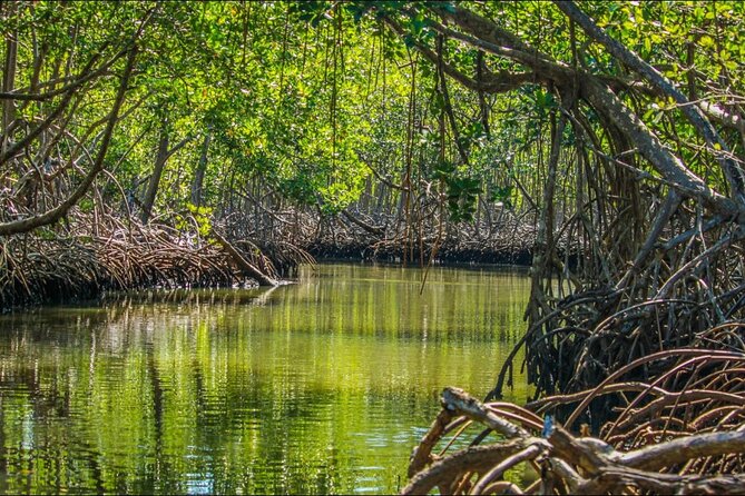 Punta Cana 3in1 Adventure: Los Haitises Park, Waterfall & Montaña - The guide can shape the whole day