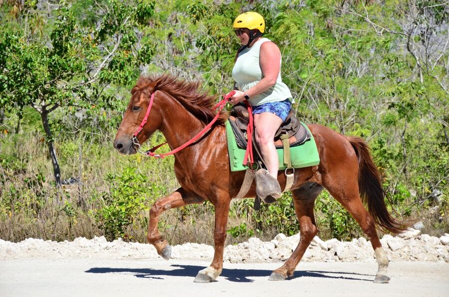 Punta Cana: Bávaro Adventure Park Horse Riding & Waterfalls - Key points to know before you book