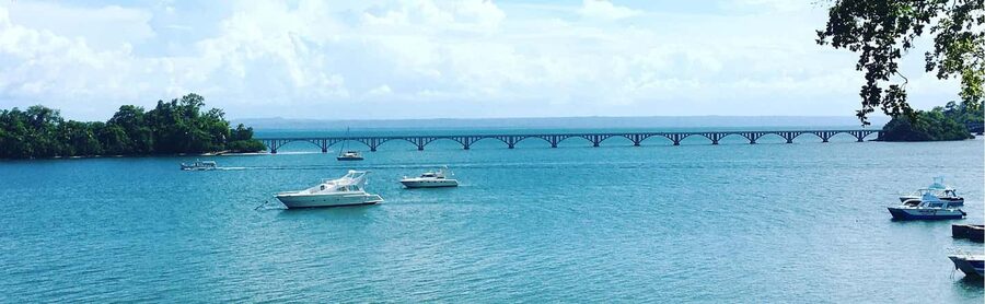 Punta Cana: Samaná Whale Watching, Bacardi & Limon Falls - Timing, Comfort, and What to Pack