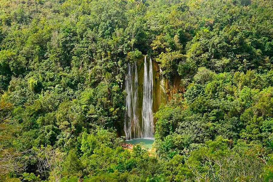 Punta Cana: Samaná Whale Watching, Bacardi & Limon Falls - Limón Waterfall by Safari Truck